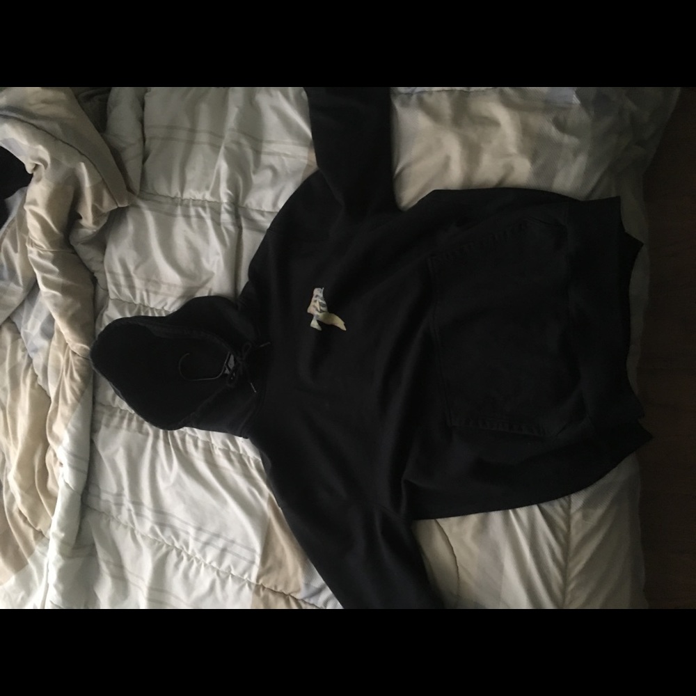 Palace Fish logo hoodie